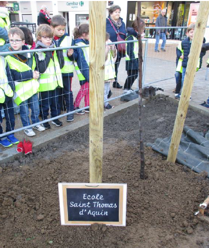 Un arbre pour l’école – Novembre 2022